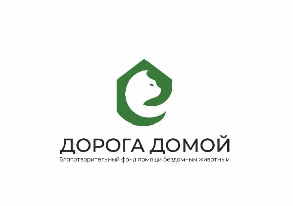 Логотип БФ Дорога домой